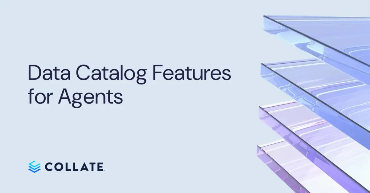 Data Catalog Features for Agents